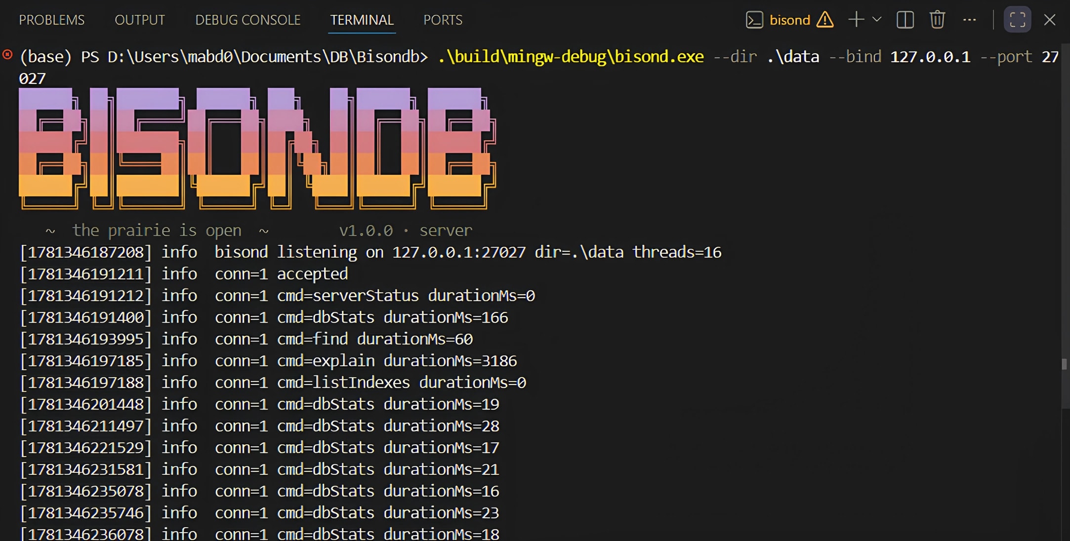 BisonDB + Prairie screenshot